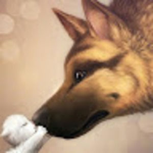 Meet your Posher, Chloe